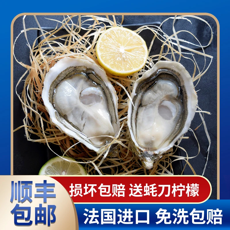 法国吉拉多Gillravage进口生蚝肥美即食鲜活肥厚海鲜水产美食