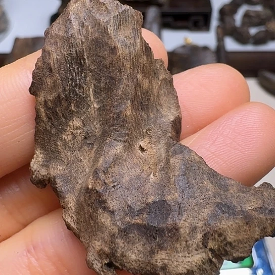 静水静水越南沉水2.2克！！！