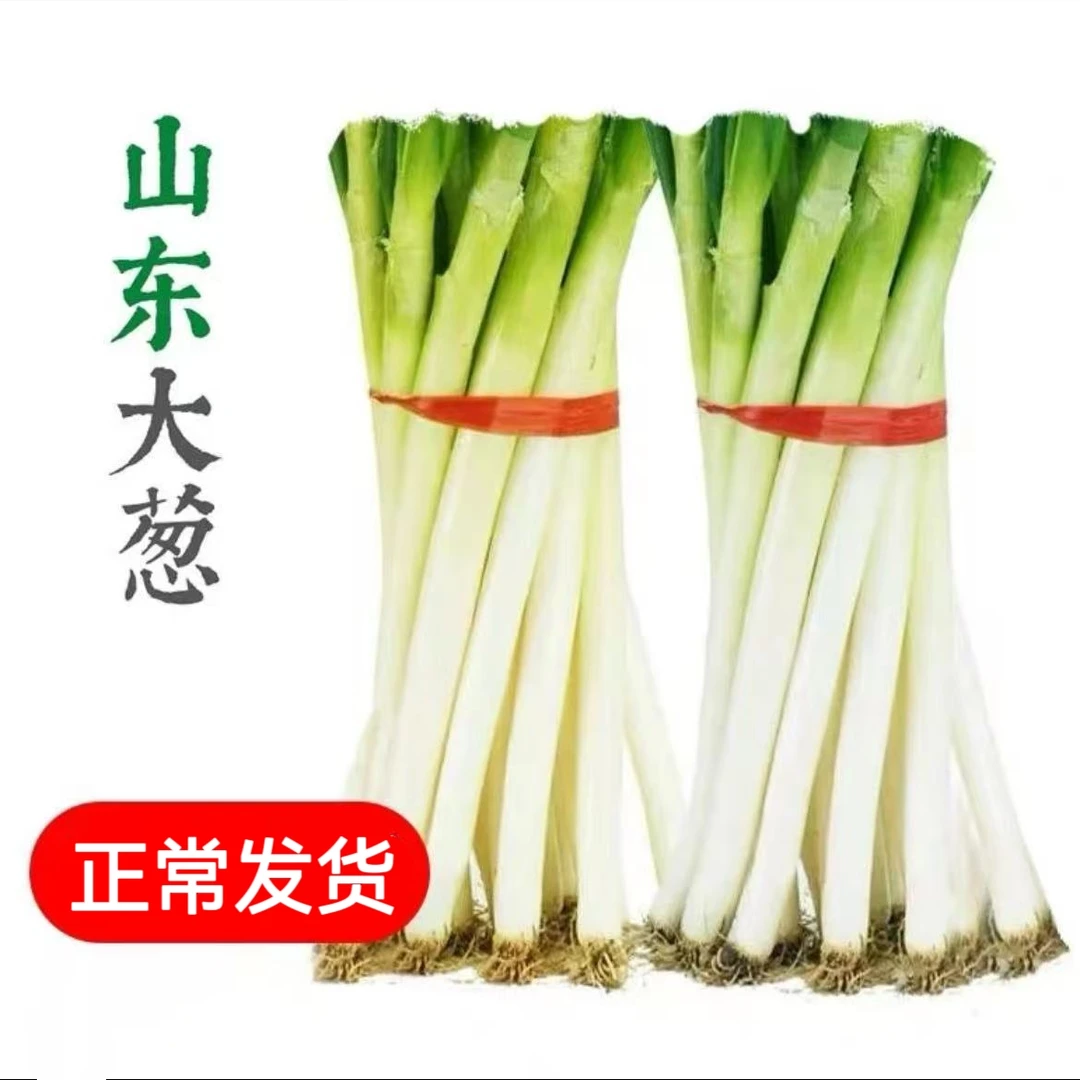 无叶大葱一级精品山东铁杆大葱新鲜脆嫩甜脆蘸酱产地直发