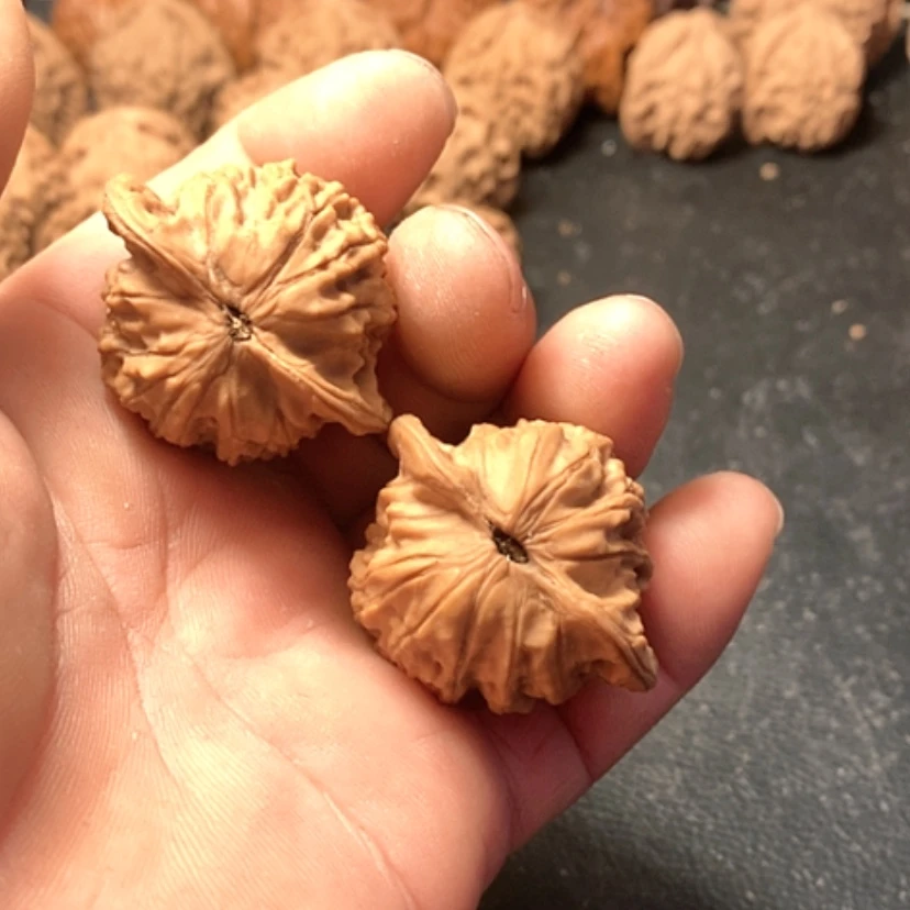 【闪购商品】用****2秦公子