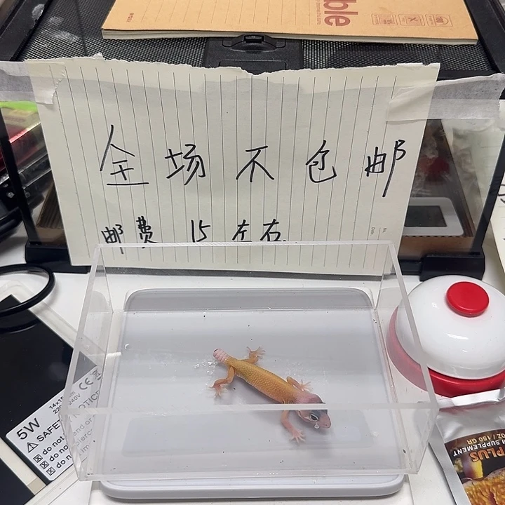 豹纹守宫034？建军节k..：我