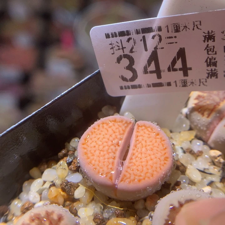 元宵节快乐212.344