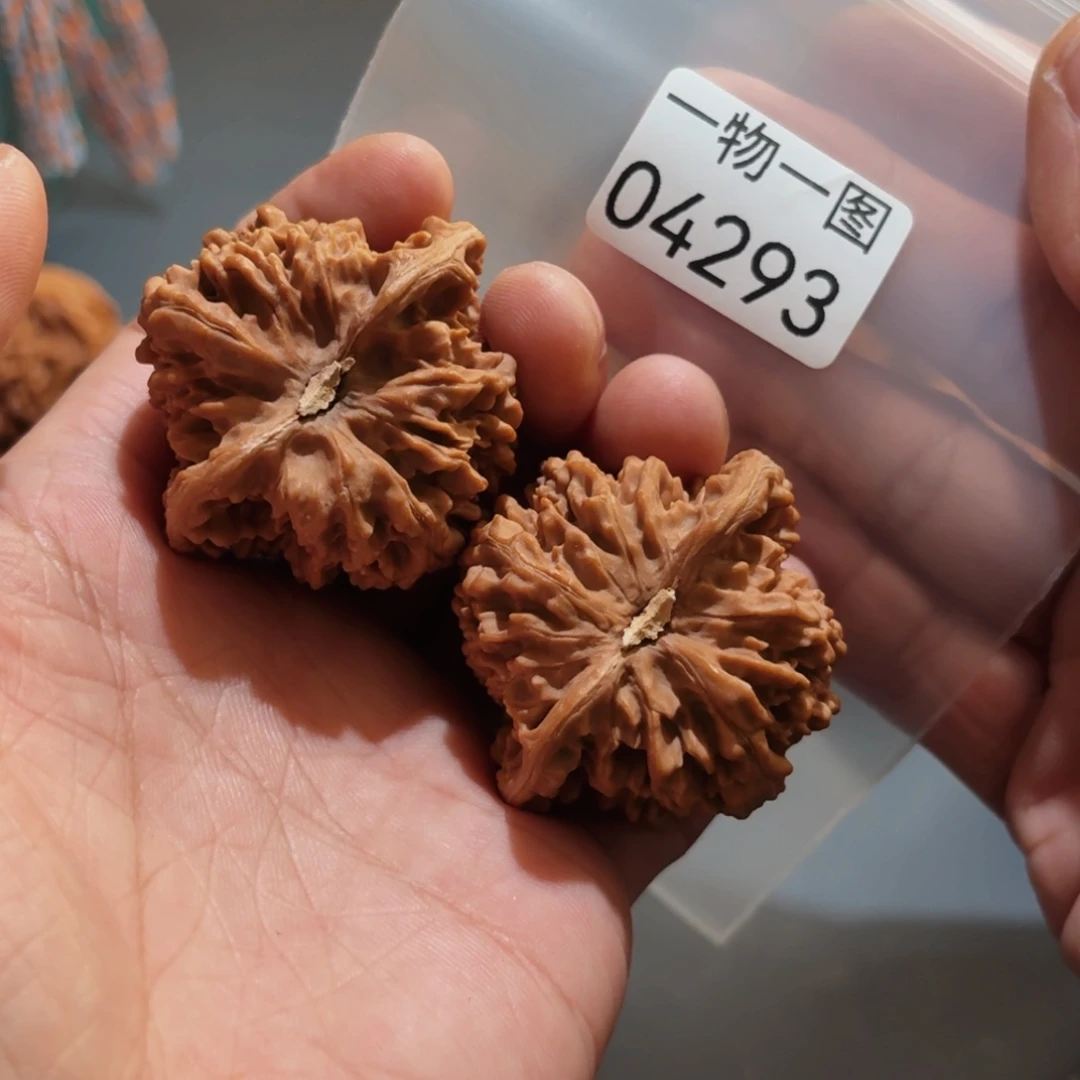 文玩核桃把件满天星