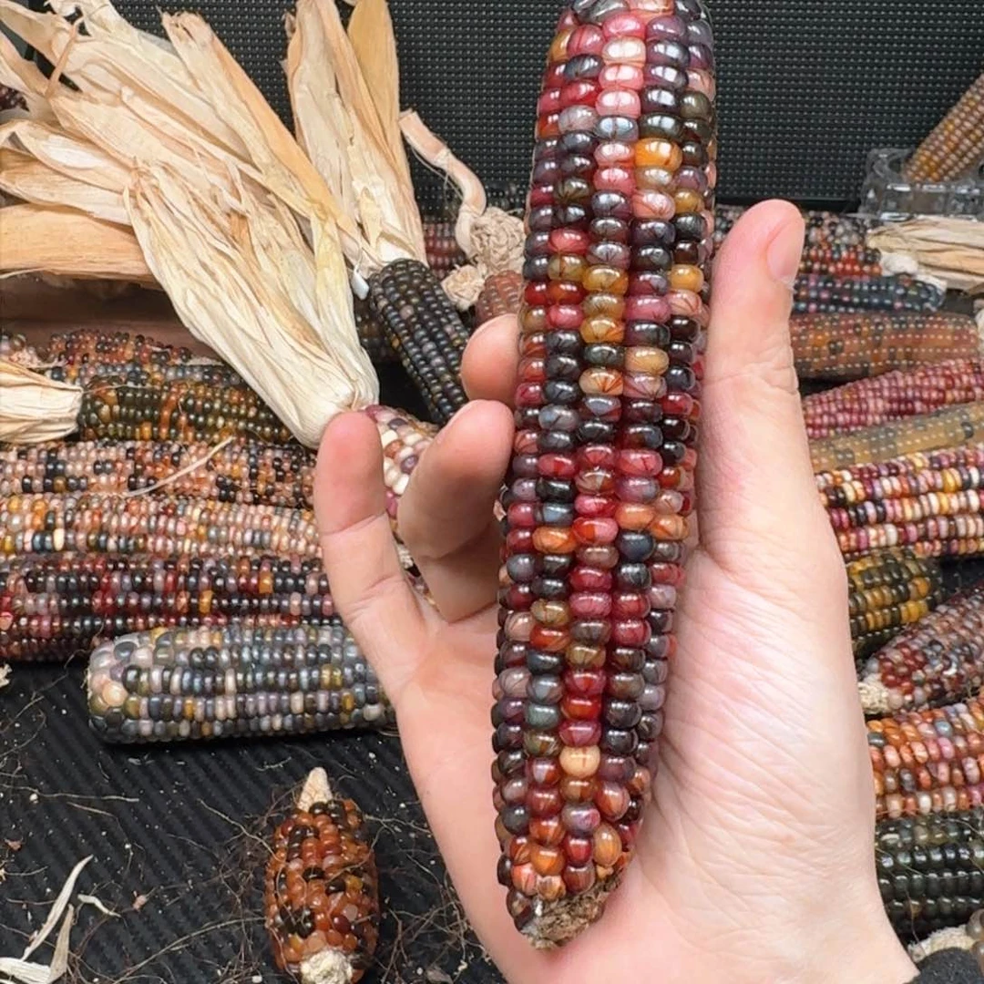 柏香籽/百香籽吊坠梦**天