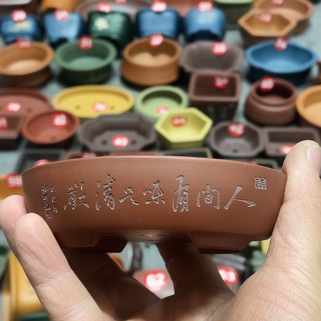 紫砂小盆9.5*8*2cmmmmm