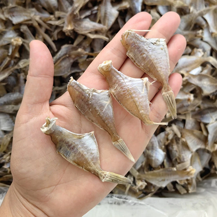 湛江海产干货 中号扒皮鱼干 500克