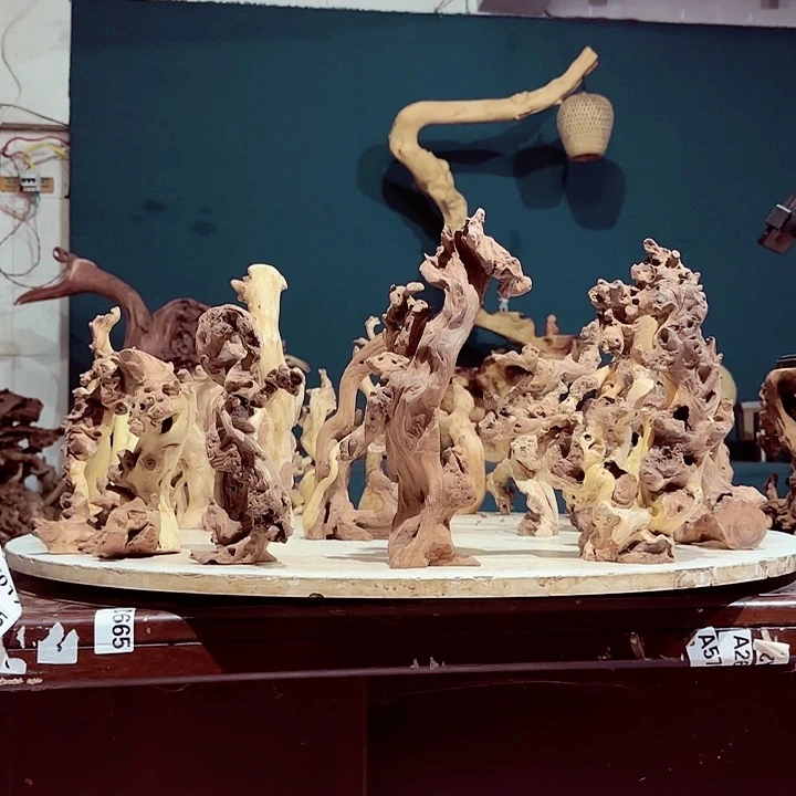 黑果木煤**崖013 金丝红木羊蹄甲半成品到手20特价