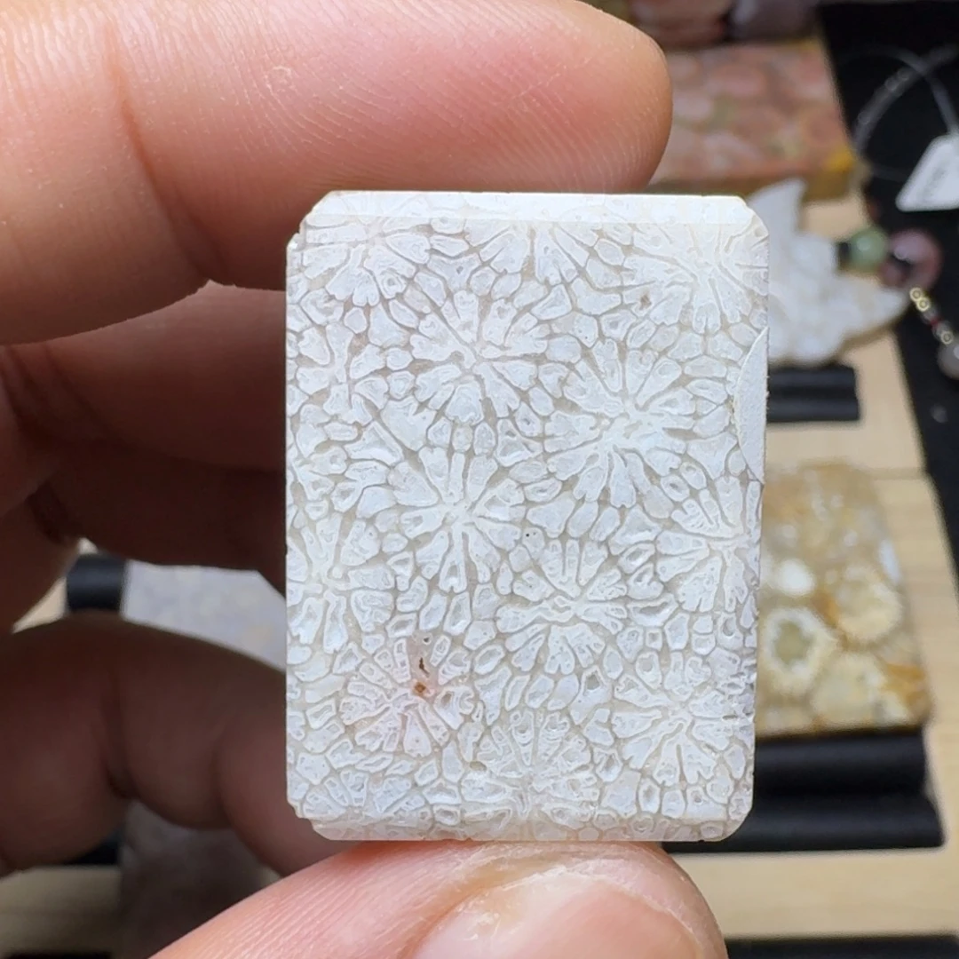 未镶嵌纯天然色有机玉石保真色硅化玉