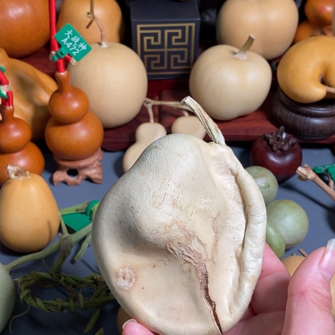 爆***滋木葫芦山风景名胜公园位于