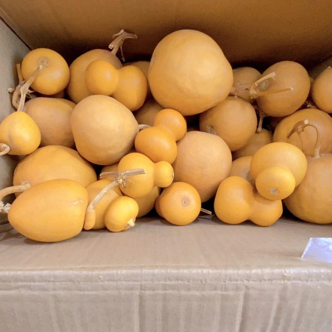 在****直播间链接，文玩葫芦