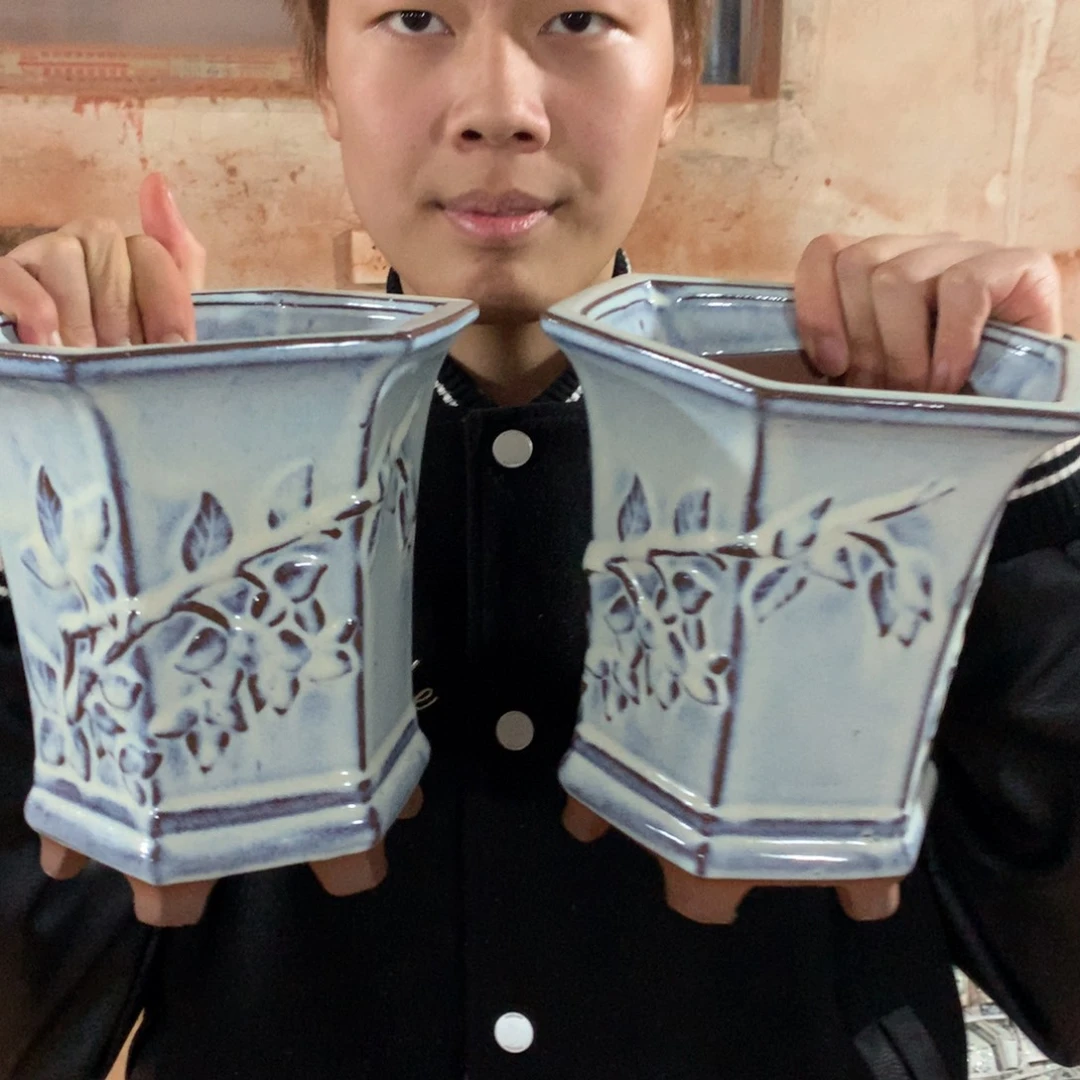 花盆啦啦啦啦啦啦啦