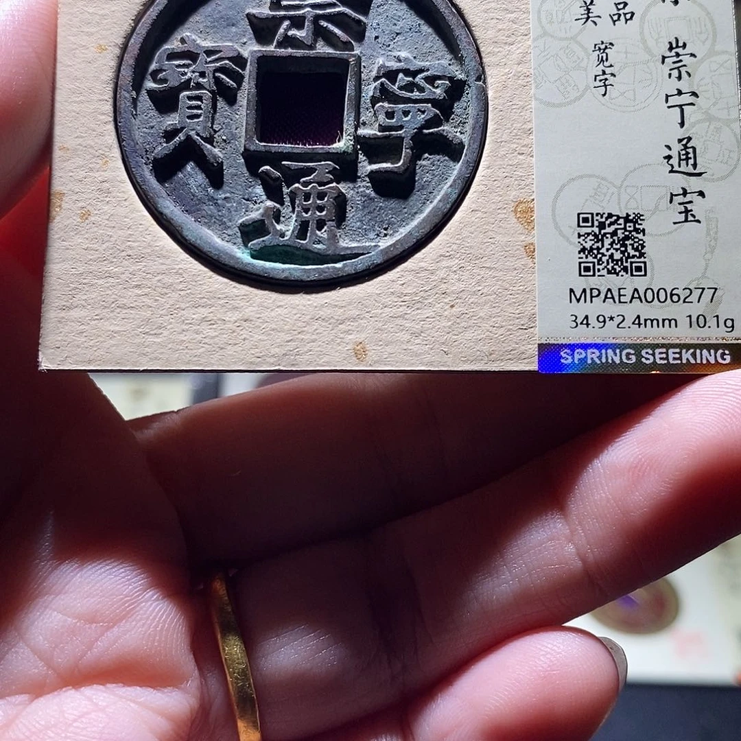 贝壳8 恭喜发财恭喜发财