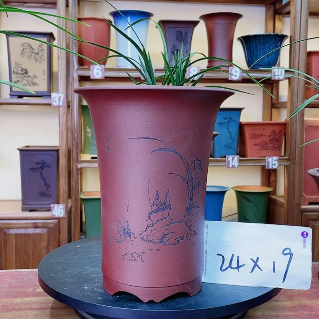 【闪购商品】紫砂花盆兰花745555477558555555