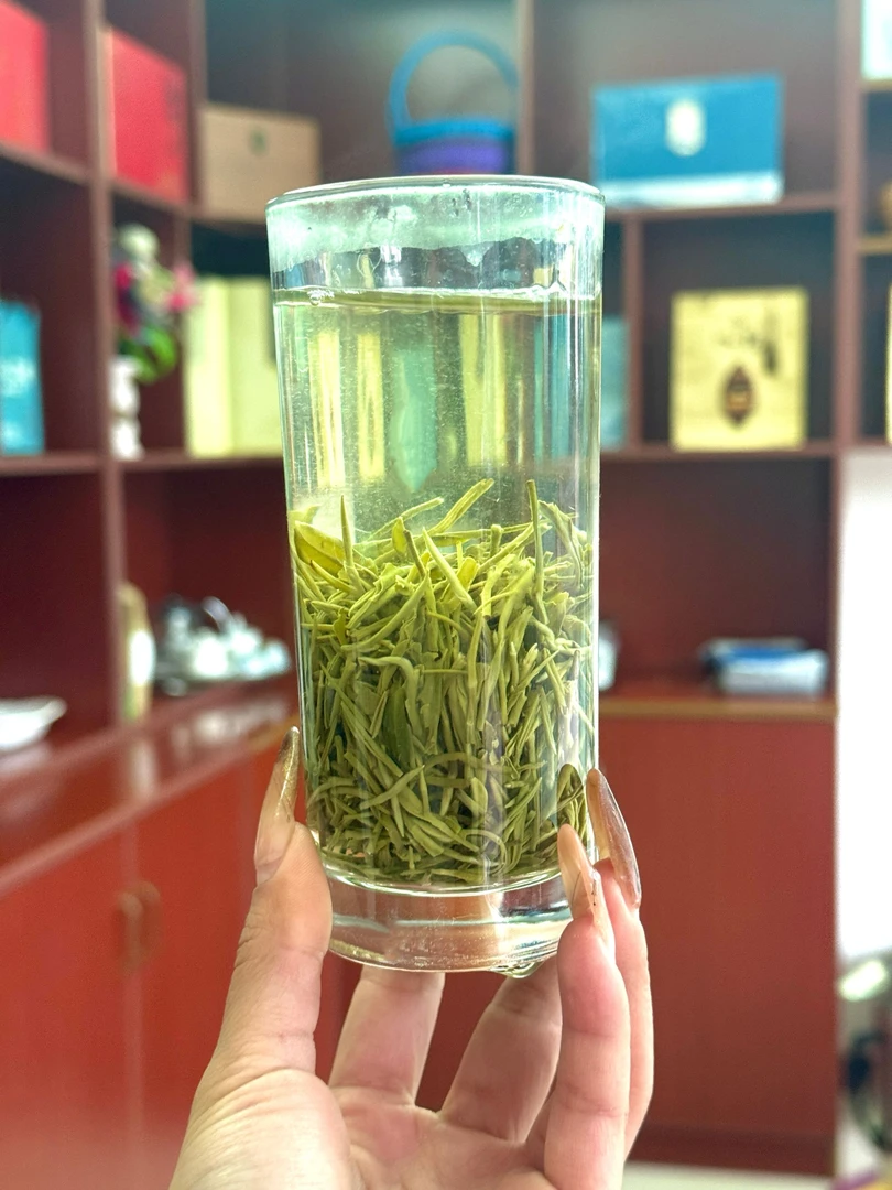 景上椿2025年毛尖绿茶建始马坡茶
