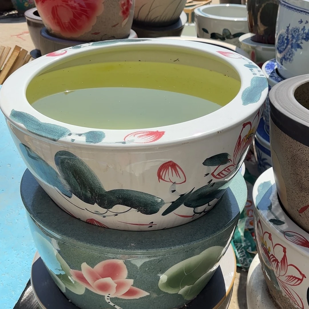 缸正品50陶瓷鱼缸红荷