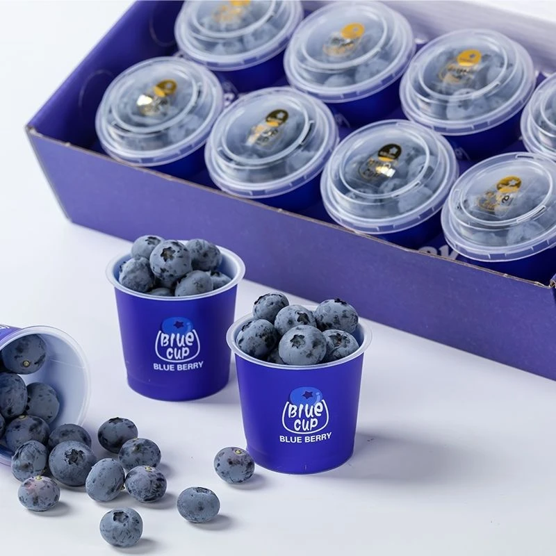 【8盒礼盒装】花香蓝莓云南蓝莓鲜水果当季带杯60g/杯小懒杯礼盒装