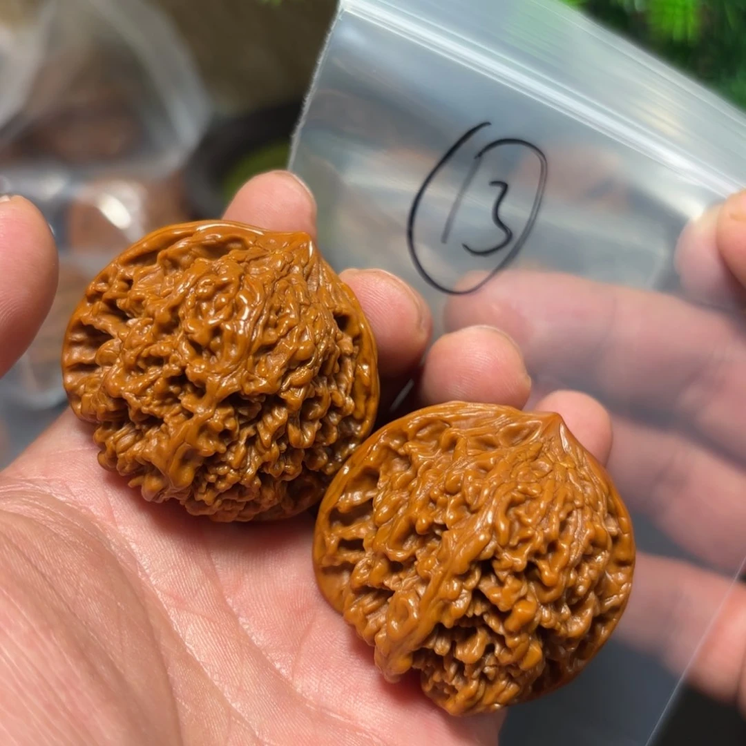 核桃其他满天星的