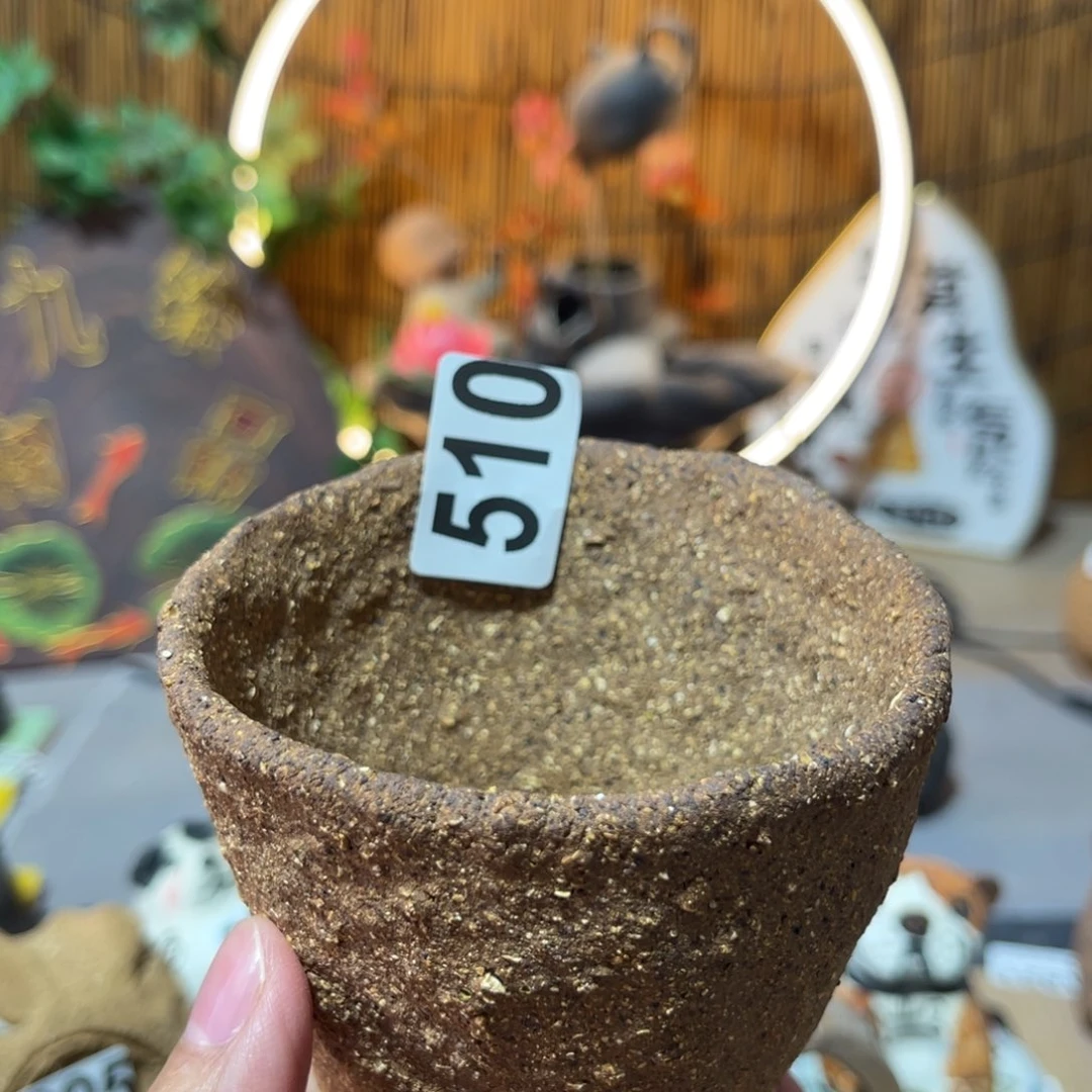 木村信弘柴烧保平