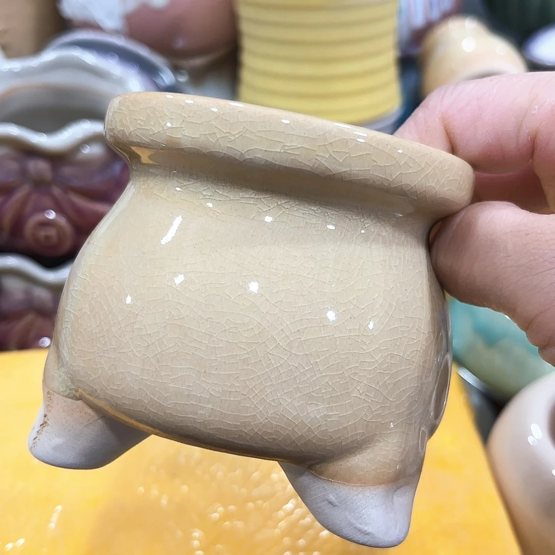 花盆花盆花盆花盆花盆花盆花盆