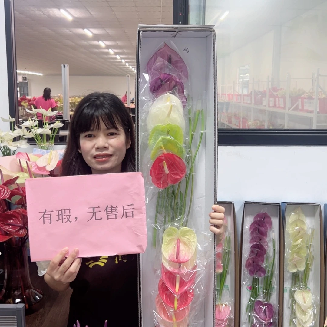 完全开放混色-16枝装无售后款162