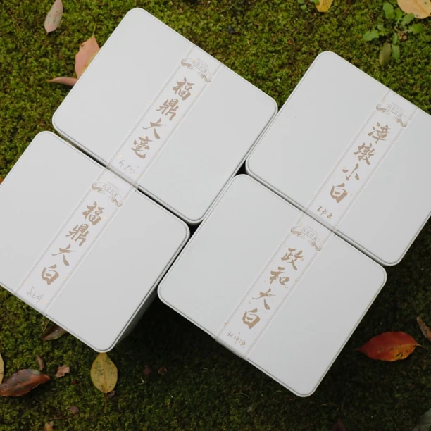 2025年乙巳年银针集萃 250g×4罐 柘荣福鼎政和