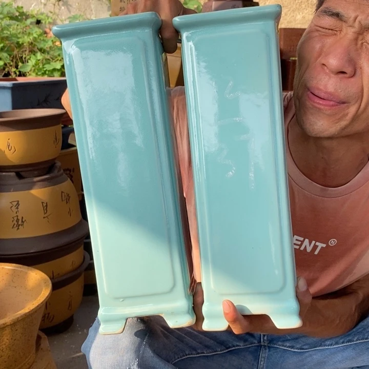 紫砂紫砂紫砂紫砂