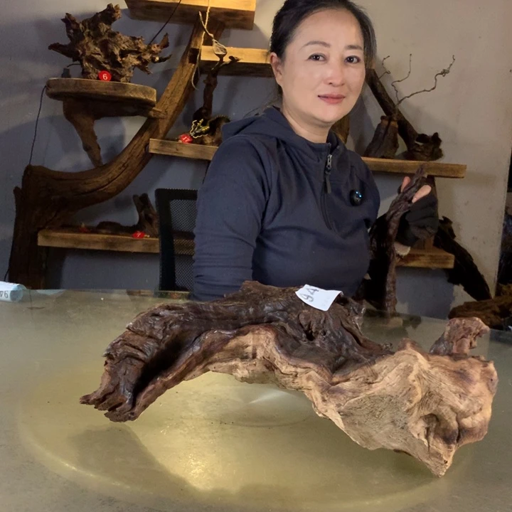 L***亮天然的云南紫柚木会黄水