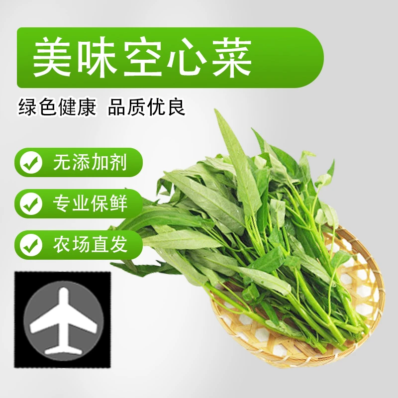 空心菜嫩尖藤藤菜农家蔬菜通心菜现摘现发酒店家庭食材必备