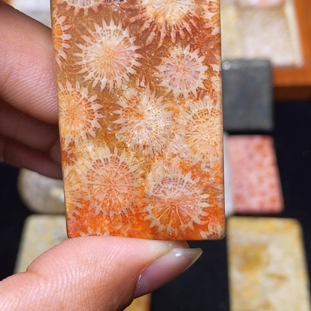 小***美硅化玉合金珊瑚玉