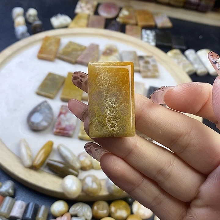 硅化珊瑚（珊瑚玉）未镶嵌颈饰27