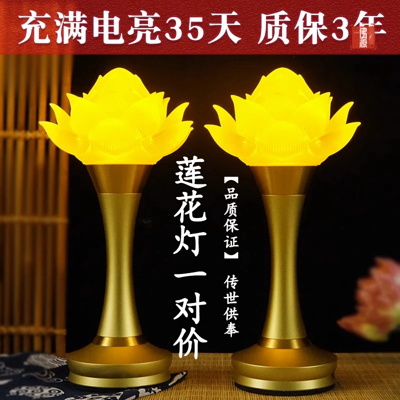 畅销充电插电两用led七彩节能长明灯家用高档创意透光琉璃花开灯