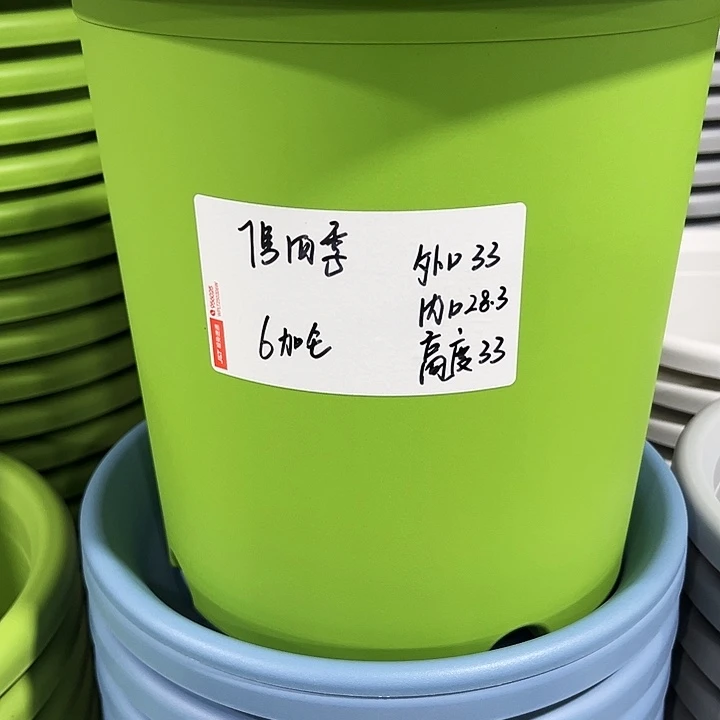 特价7号四季口33高33果绿色6个无托