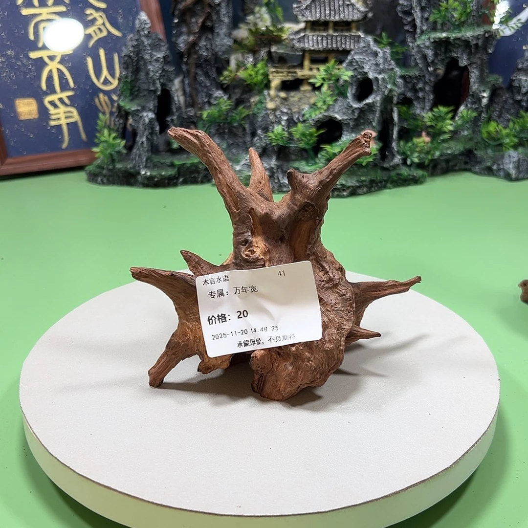 万***宽大果紫檀（缅甸花梨）