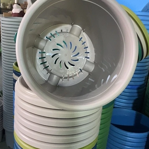 树脂四季5号灰白无托6个微瑕