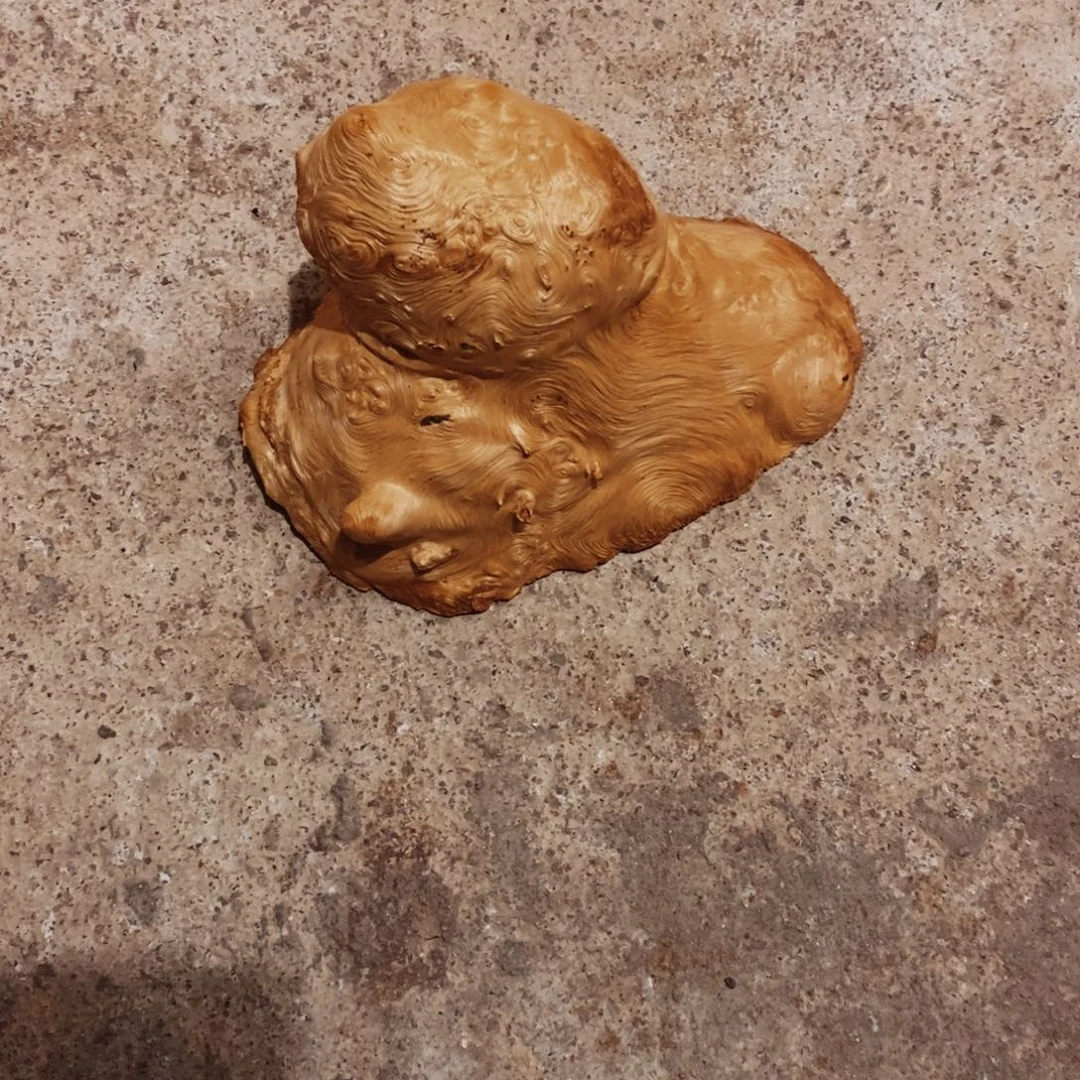 1***1荔枝木随形木材一个