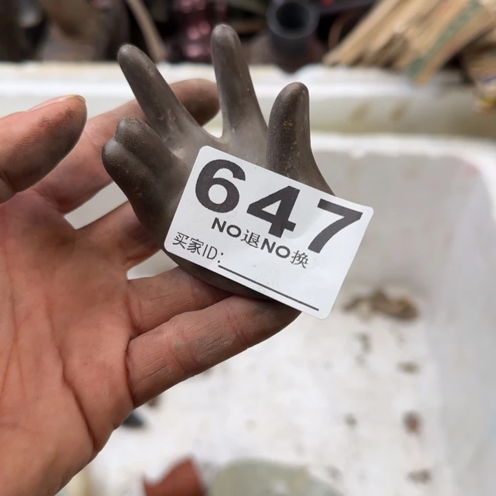 念***来111111111111111111