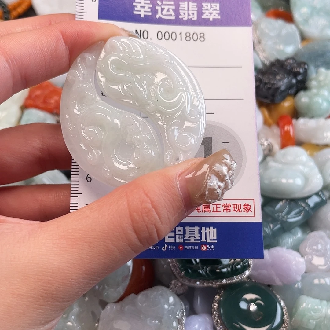 翡翠未镶嵌颈饰1808