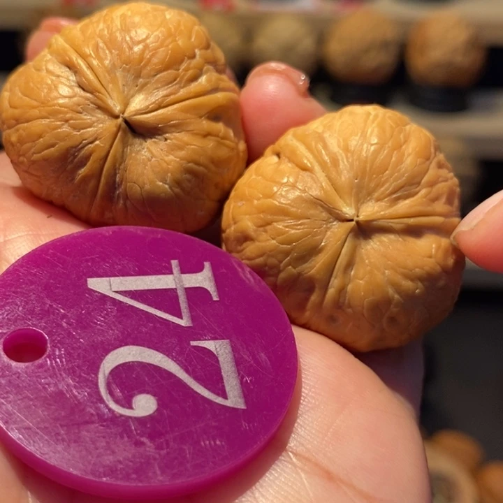 木质类豆包正奔32尺寸