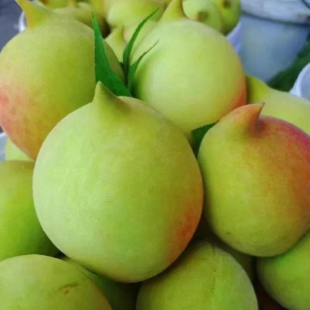 【整果】鹰嘴桃约500-550g广东省