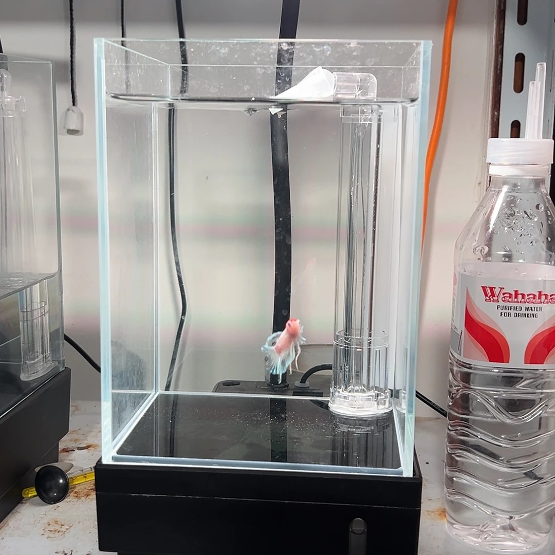 斗鱼魔屋过滤加热灯光一体