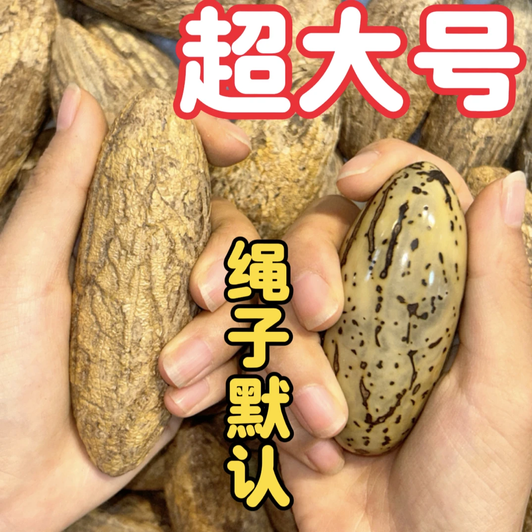 超大号千眼菩提手把件包打磨穿绳