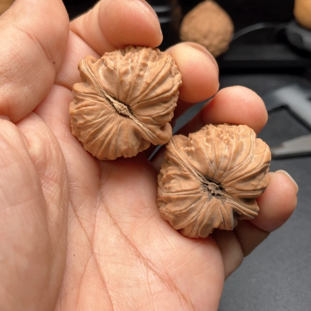 文玩核桃把件一****季白狮子