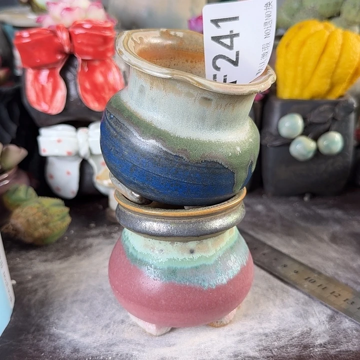 重庆小燕子欢迎大家，241