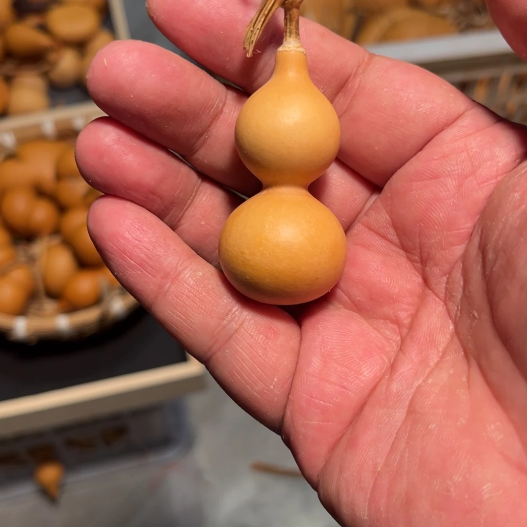 @*葫芦葫芦葫芦葫芦