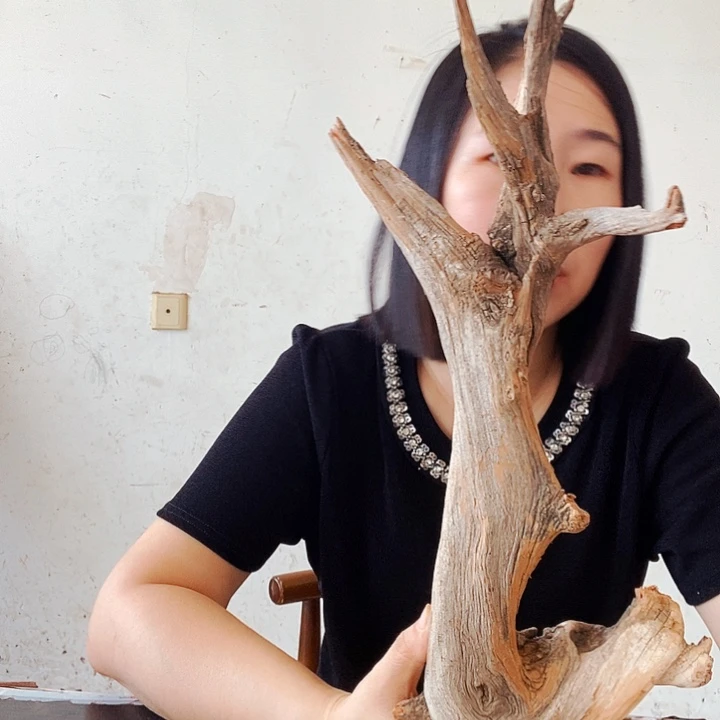 C****香榧木太行山区农民