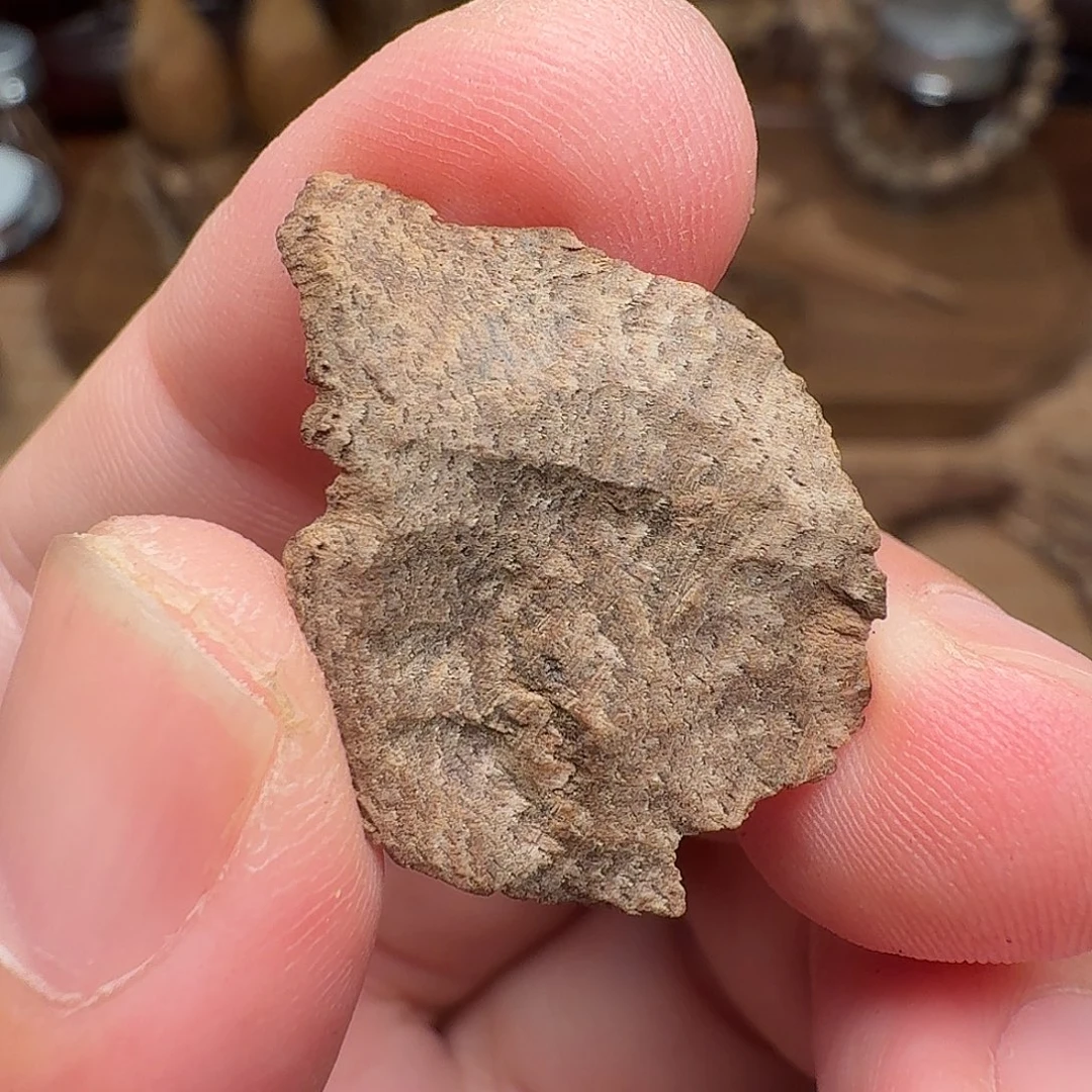 沉香沉水缅甸密支那