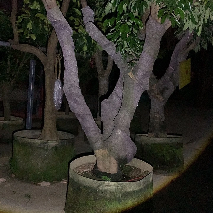 三***帅完全开放2234456789975445567