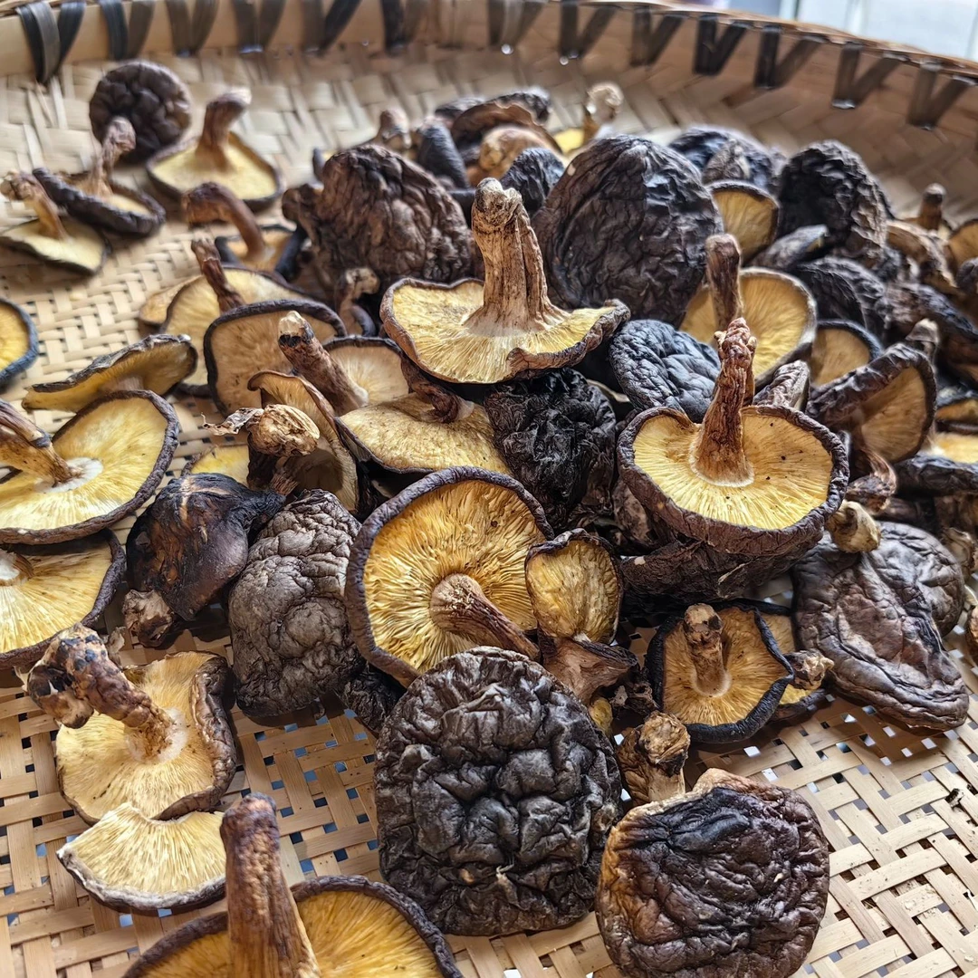 椴木香菇直播间现场 称重 现场挑选