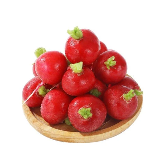 樱桃萝卜 1kg
