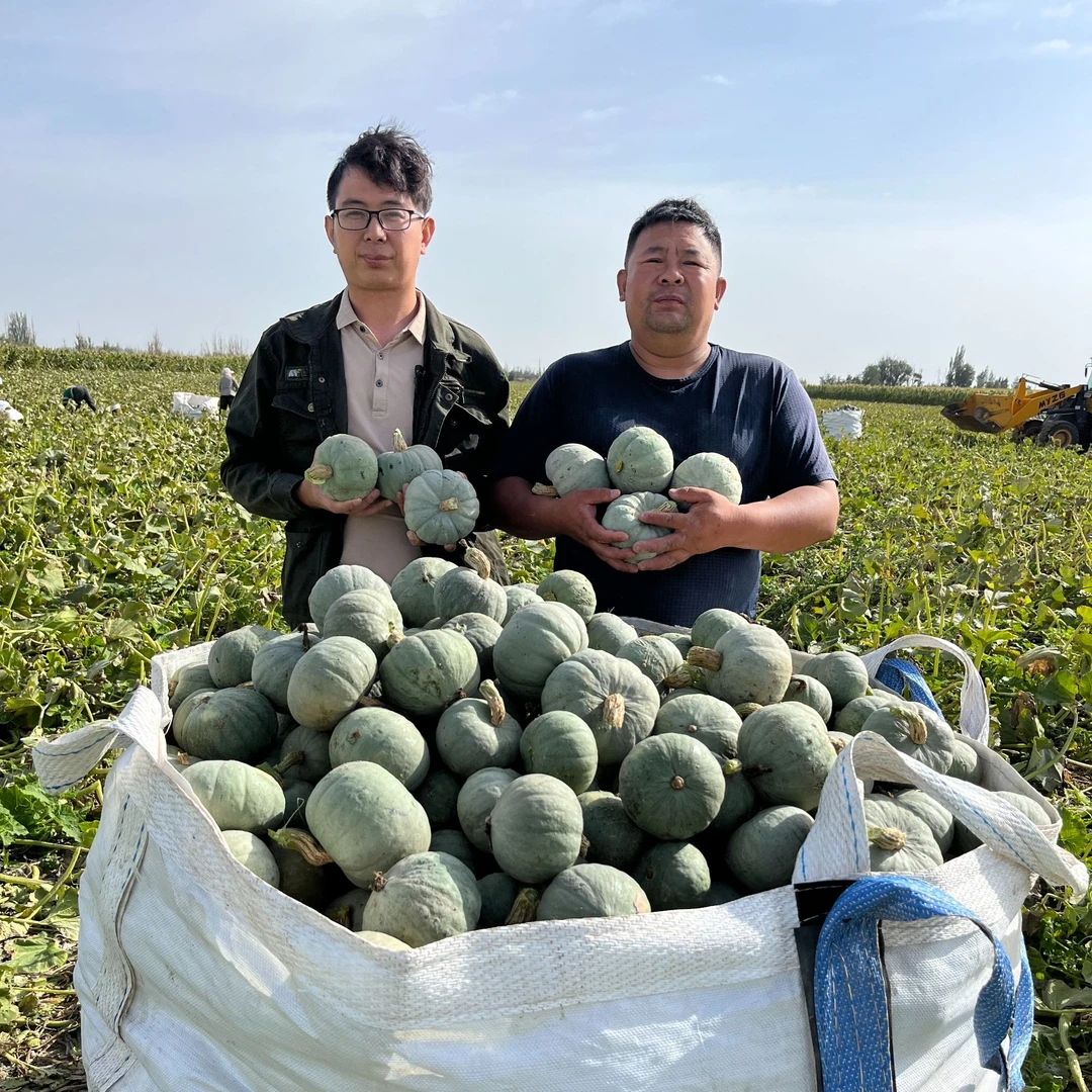 甘肃沙漠土壤十年匠心5斤银贝贝南瓜粉糯香甜宝宝辅食代餐的蔬菜